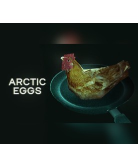 Arctic Eggs Steam Key GLOBAL